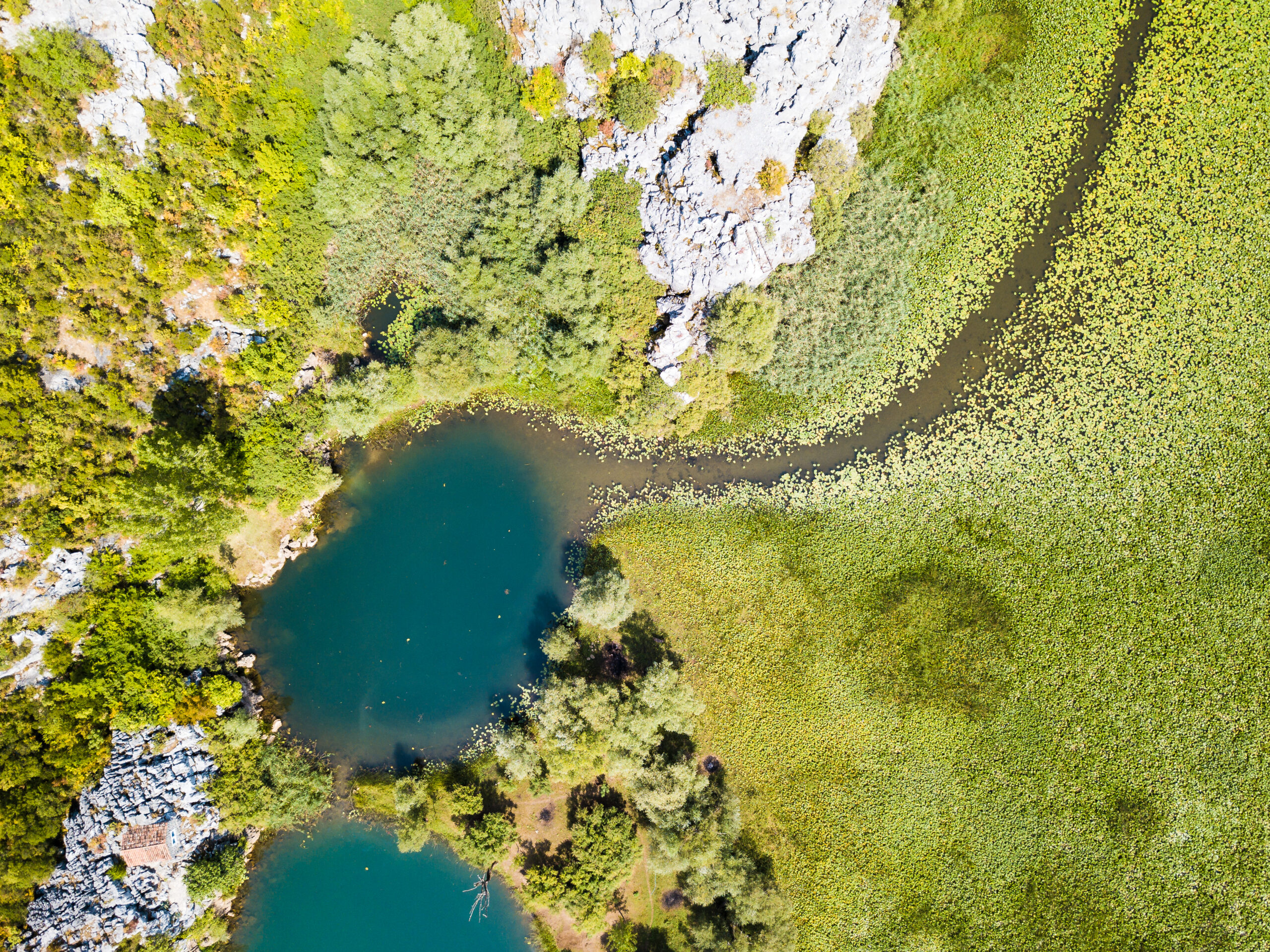 Underwater springs in Skadar Lake National Park in Montenegro.