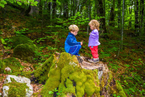 BiogradskaGora_2021-19