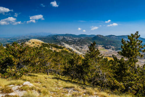 Lovcen national park in Montenegro, Balkans, Europe.