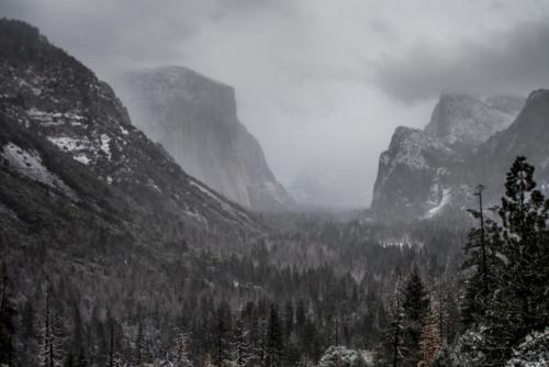 Yosemite1 9